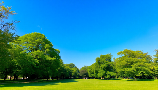 How to Breathe Fresh Air for Better Health and Well-Being in 2026