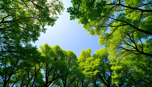 Discover Proven Strategies to Breathe Fresh Air and Enhance Your Well-Being in 2026