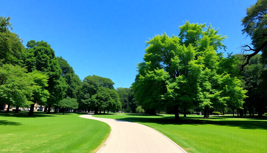 Revitalize Your Day: Expert Tips to Breathe Some Fresh Air and Boost Overall Wellness in 2026