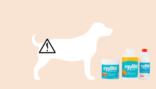 Understanding the Hidden Dangers of Xylitol and How to Protect Your Health in 2026