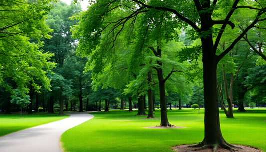 Revitalize Your Life by Incorporating Effective Ways to Breathe Some Fresh Air in 2026